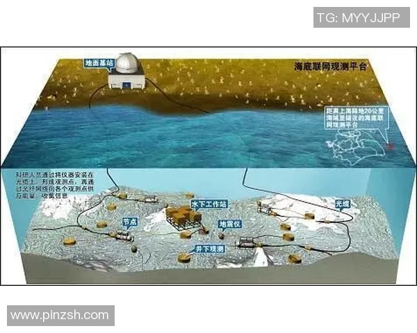 WE战术解析：如何构建有效的反击体系以应对敌方策略