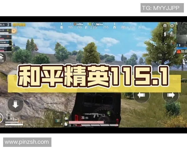 和平精英战术解析V5转换体系的实战应用与策略探讨