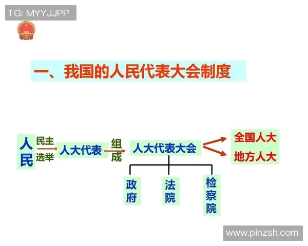 选举制度改革与民主进程：全球视野下的挑战与机遇分析